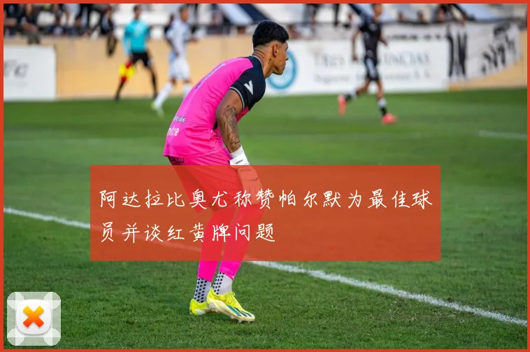 阿达拉比奥尤称赞帕尔默为最佳球员并谈红黄牌问题