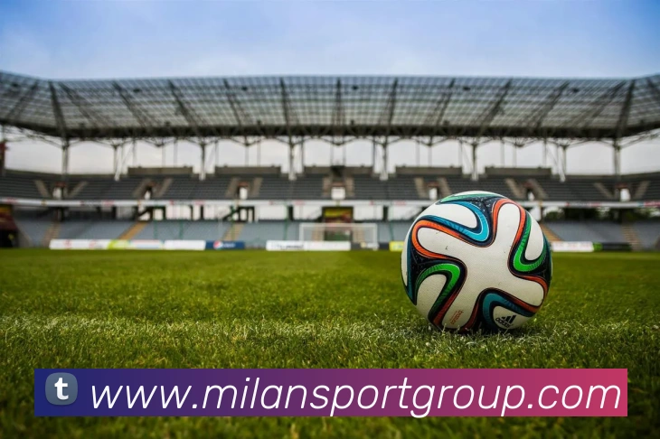 多媒体互动体验